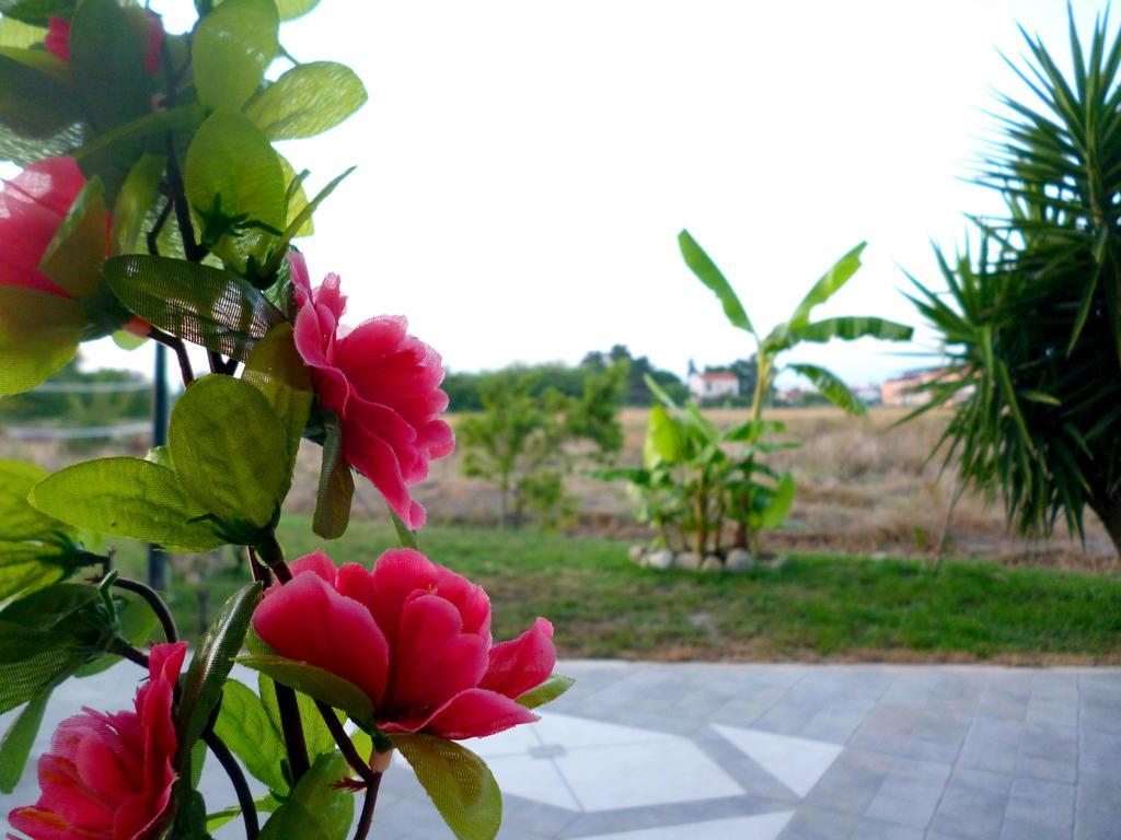 Demis Apartments Sidari  Ruang foto